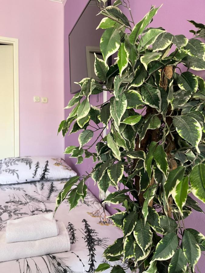 Apartman Lora Apartamento Rijeka Exterior foto